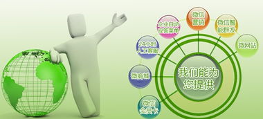 產(chǎn)品成長(zhǎng)期 企業(yè)營(yíng)銷型網(wǎng)站與產(chǎn)品共同成長(zhǎng)的戰(zhàn)略融合